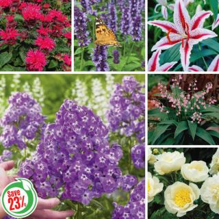 Fragrant Garden Collection Thumbnail